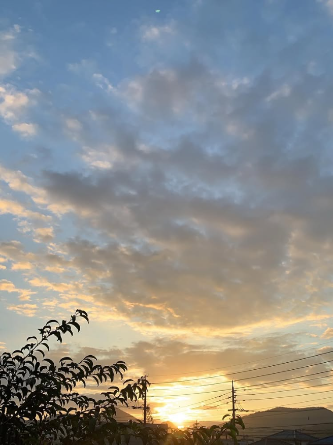 【本日まで！】ハンバーグ40g増量無料です！