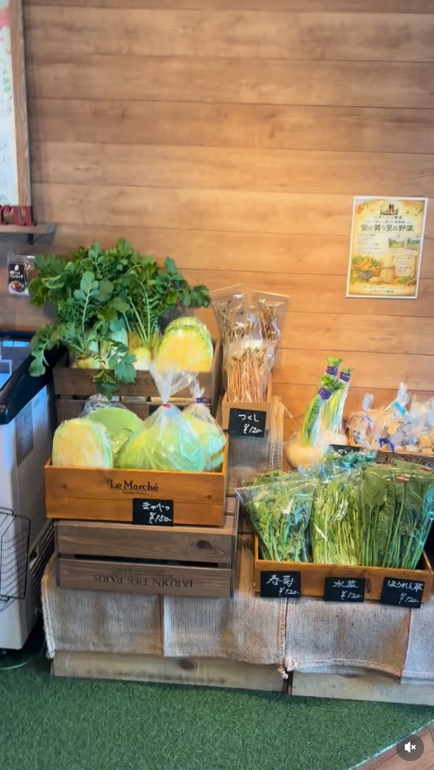 糸島産の栄養たっぷりな野菜の販売がはじまりました🥗🍴⠜